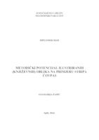 prikaz prve stranice dokumenta Metodički potencijal ilustrianih (književnih) oblika na primjeru stripa čovpas
